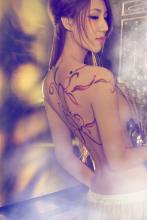�ɽ���ʧ�汾����