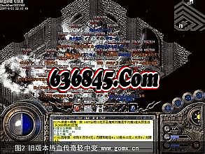 ���������̬����vip13