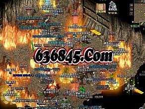 1.76��Ʒ��������