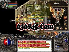 ��Ѫ����1.76�뿨���˶���