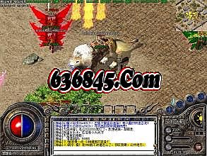 �������� ���� ����