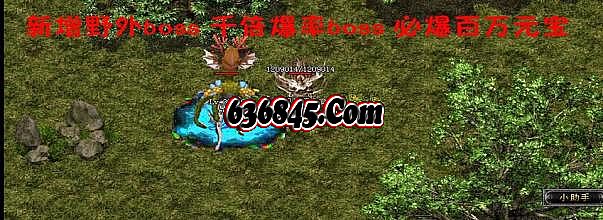 1.76���Ŵ����Ұ�
