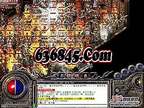 ��紫��1.76����