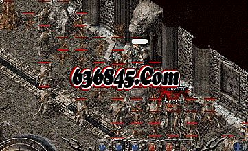 ΢����Ѫ�������ι���