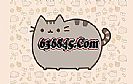 ����ʢ����ʦӦ����ô������Ұ����ײ