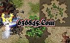 1.76�ɷ�ʦ��ο���ѧ�ỢХ��