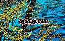 ���������Ҫħ�������ڶ�������