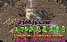 ���һ�κ�ħ���������뺯����